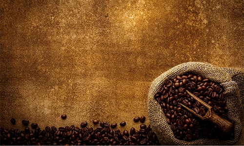 Brewstar Coffee Partner with us